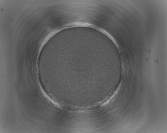 X0000072991381200608211505