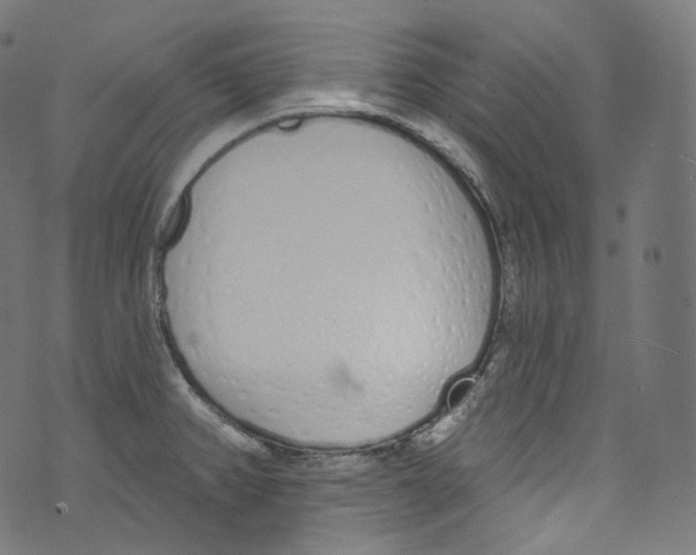 X0000072991382200608211505