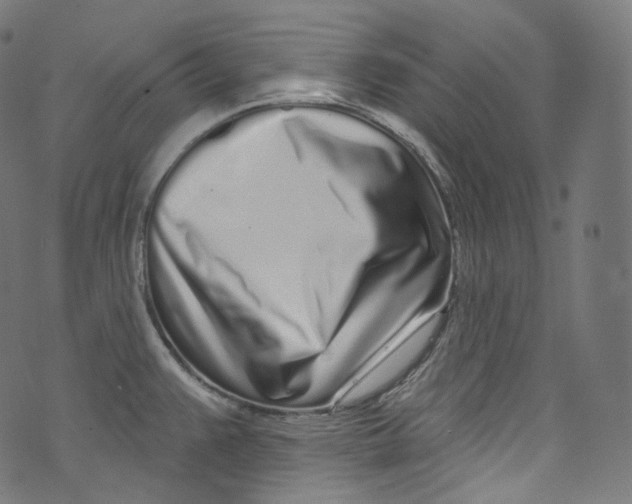 X0000072991383200608211505