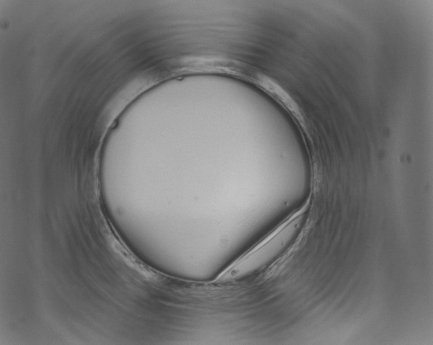 X0000072991386200608211505