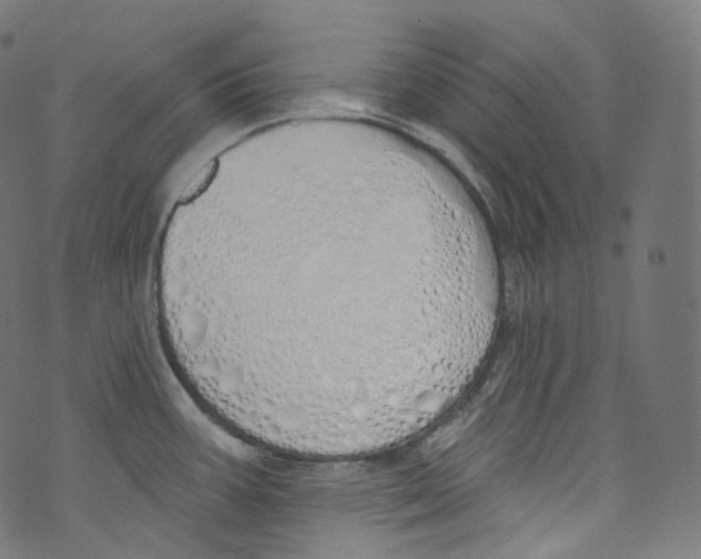 X0000072991387200608211505