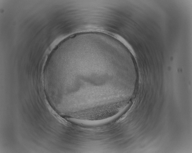 X0000072991388200608211505