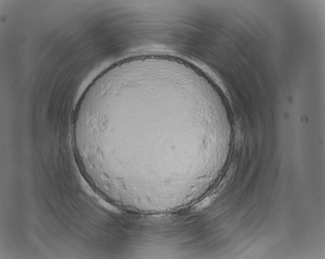 X0000072991390200608211505