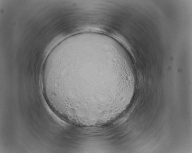 X0000072991391200608211505