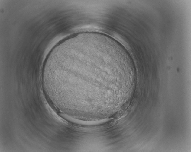 X0000072991392200608211505