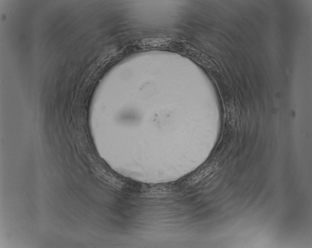 X0000072991393200608211504