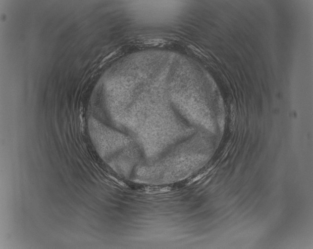 X0000072991394200608211504