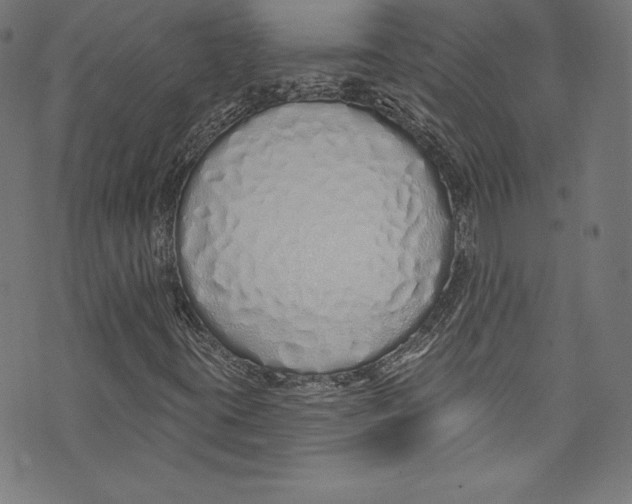 X0000072991395200608211504