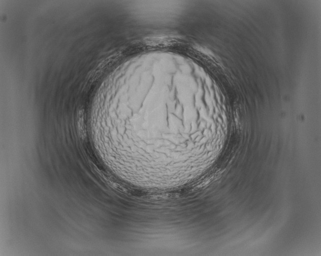 X0000072991396200608211504