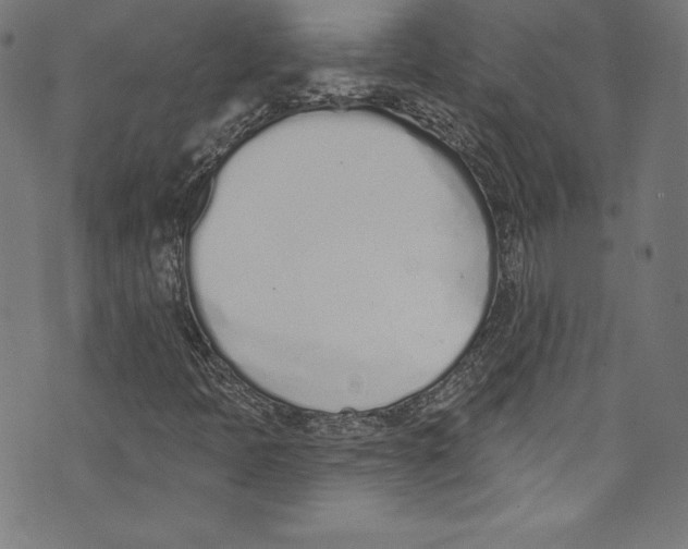 X0000072991397200608211504