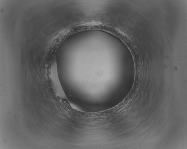 X0000072991398200608211504