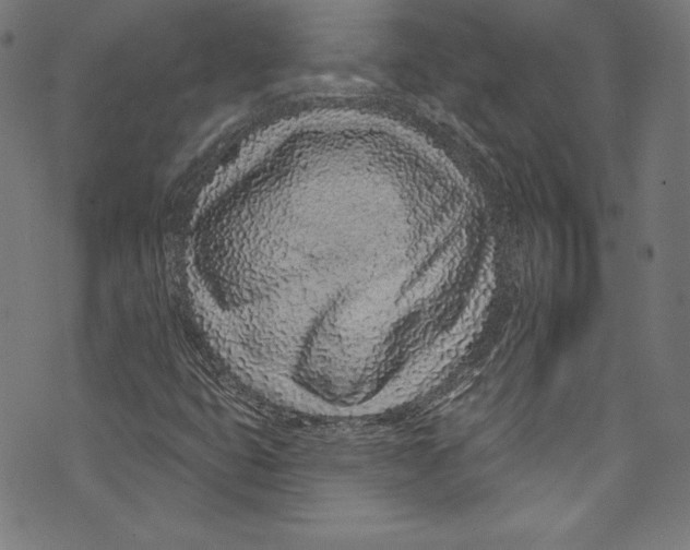 X0000072991399200608211504