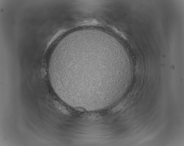 X0000072991400200608211504