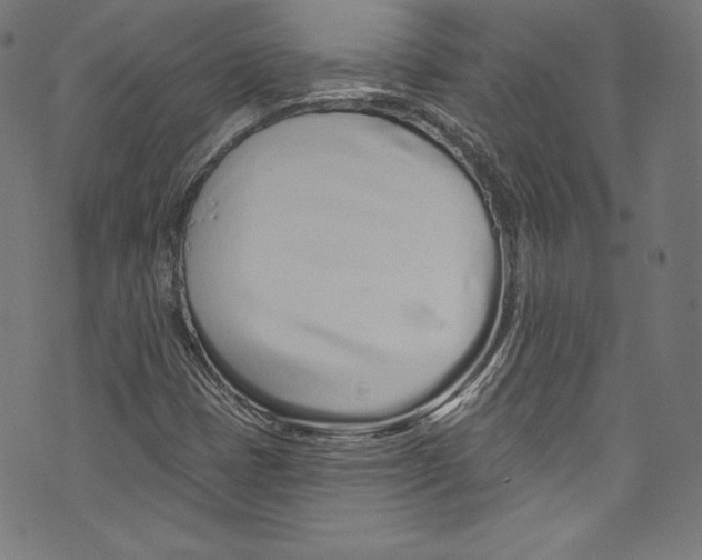 X0000072991401200608211504