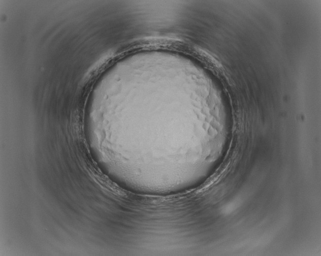 X0000072991403200608211504