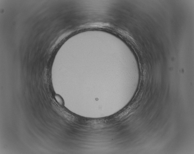 X0000072991404200608211504