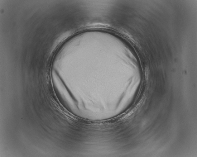 X0000072991405200608211504