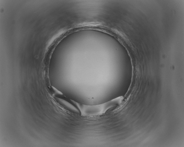 X0000072991406200608211504