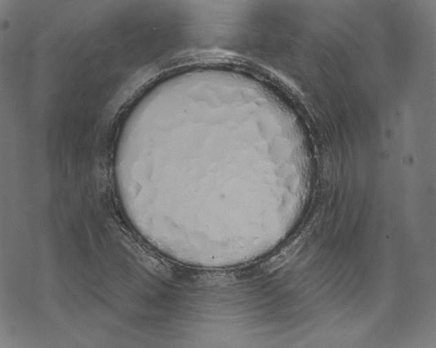 X0000072991407200608211504