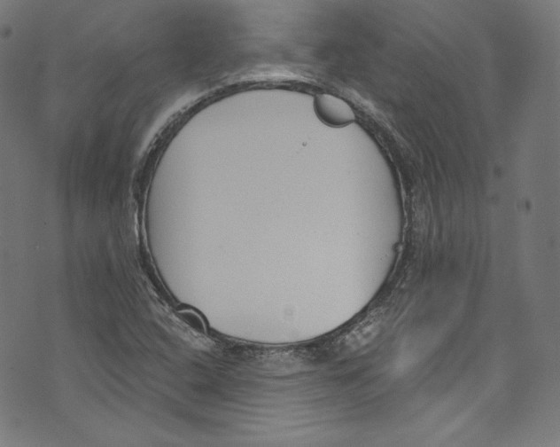 X0000072991408200608211504