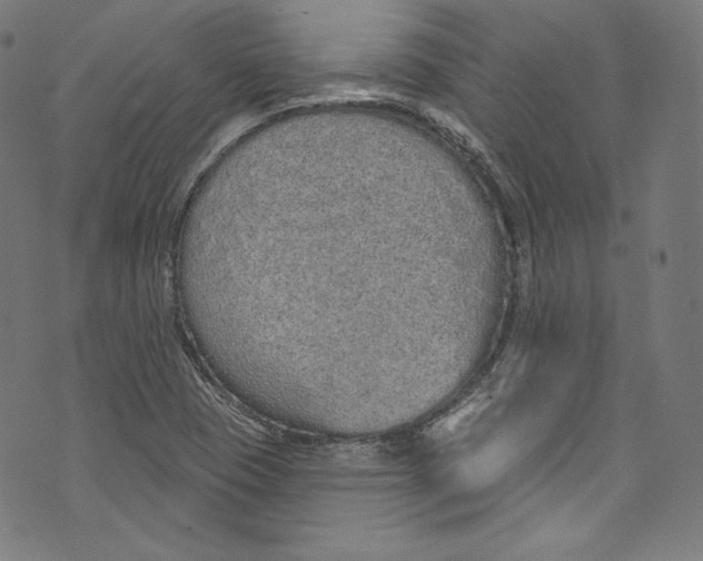 X0000072991409200608211504