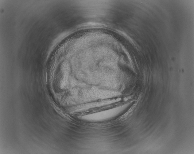 X0000072991413200608211504