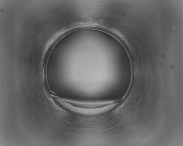 X0000072991414200608211504