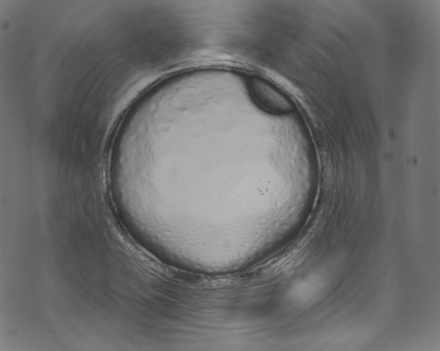 X0000072991415200608211504