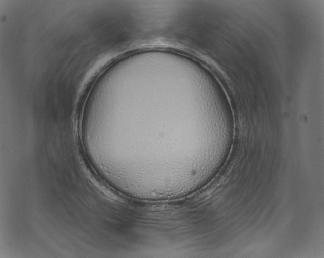 X0000072991416200608211504