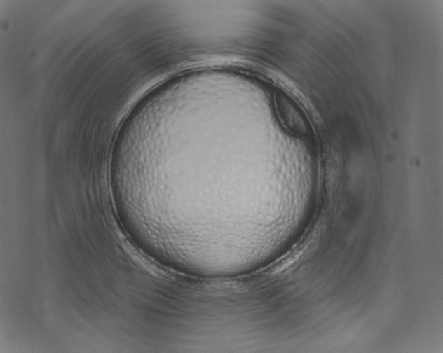 X0000072991417200608211504