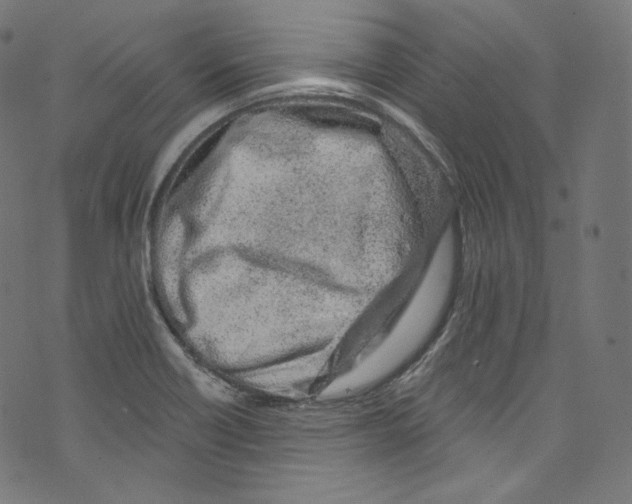 X0000072991418200608211504