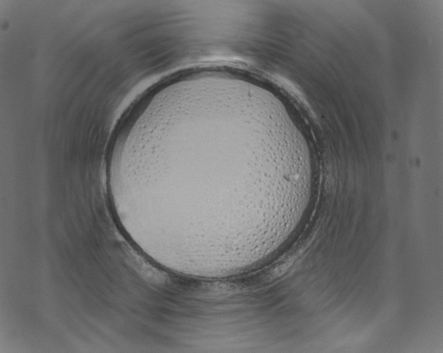 X0000072991420200608211504