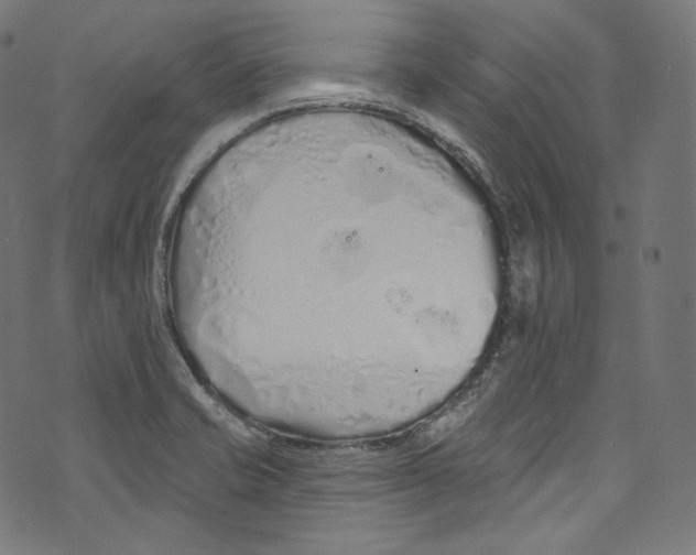 X0000072991421200608211504