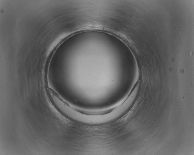 X0000072991422200608211504