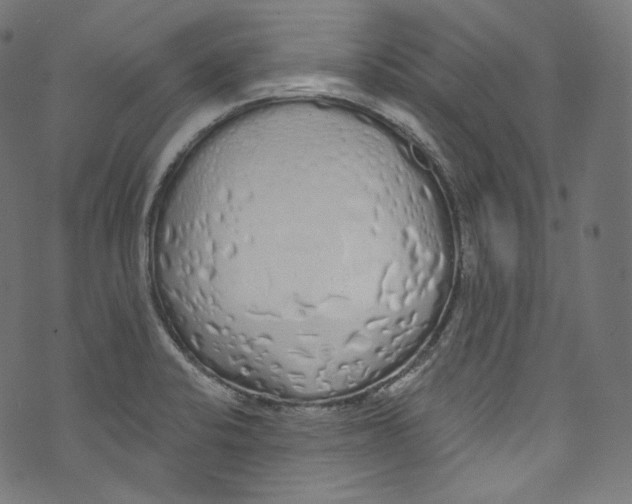 X0000072991424200608211504