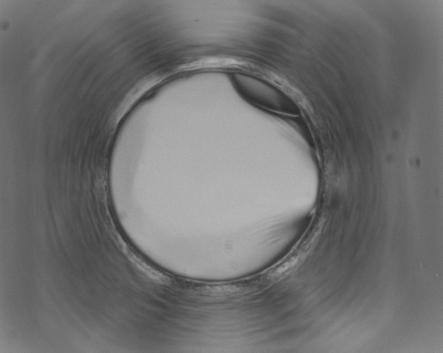 X0000072991425200608211504