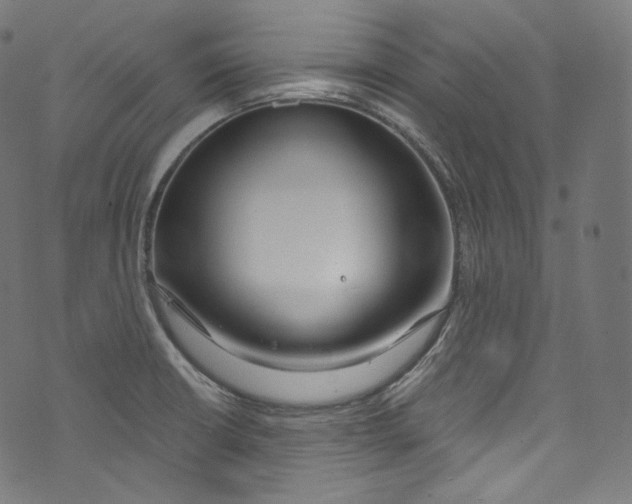 X0000072991426200608211504