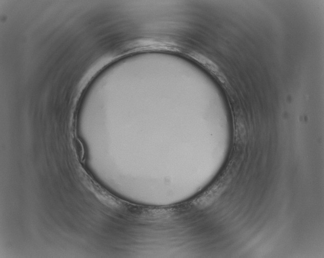 X0000072991427200608211504