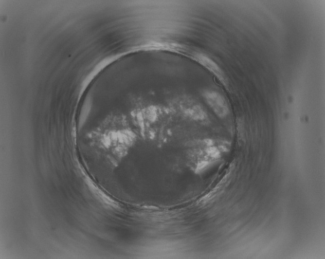 X0000072991428200608211504