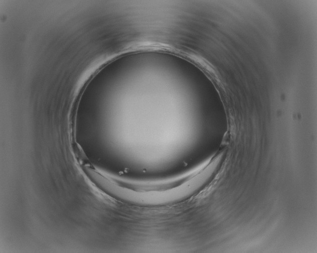 X0000072991430200608211504