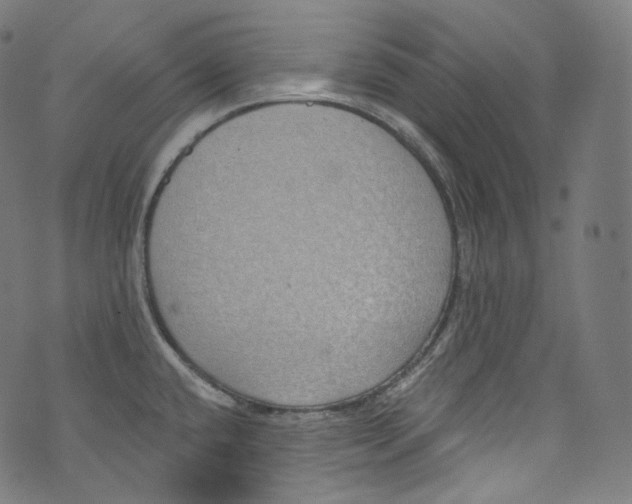 X0000072991432200608211504