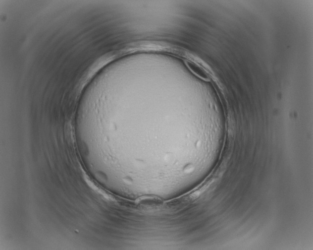 X0000072991433200608211504