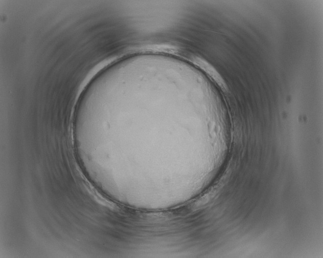 X0000072991436200608211504