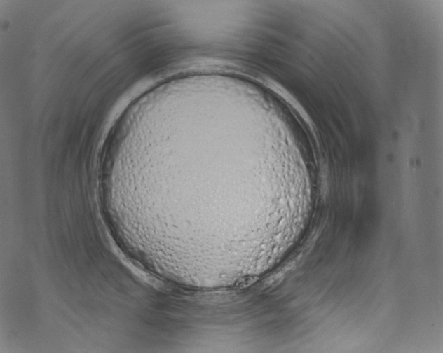 X0000072991437200608211505