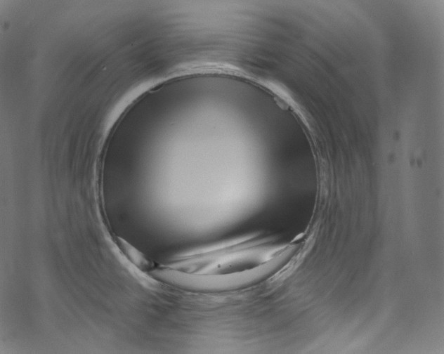 X0000072991438200608211505