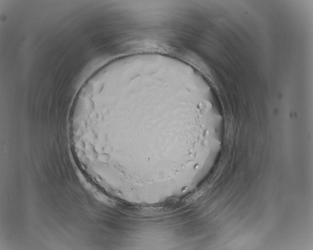 X0000072991439200608211505