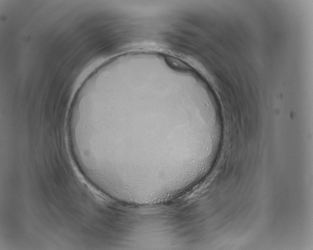 X0000072991440200608211505