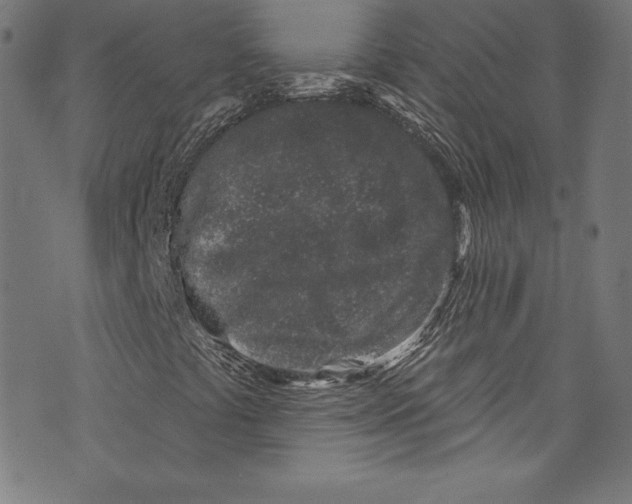 X0000072991441200608211504