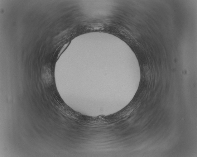 X0000072991442200608211504