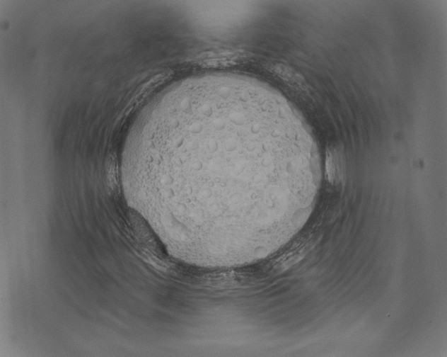 X0000072991444200608211504